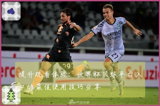 提升观看体验：世界杯买球平台入口的最佳使用技巧分享
