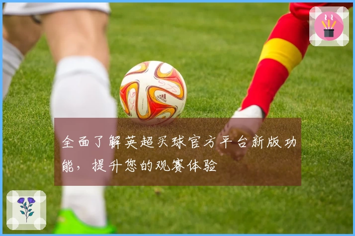 全面了解英超买球官方平台新版功能，提升您的观赛体验