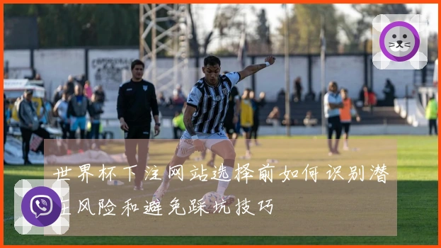 世界杯下注网站选择前如何识别潜在风险和避免踩坑技巧