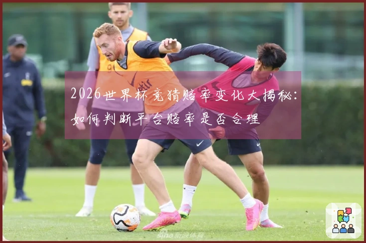 2026世界杯竞猜赔率变化大揭秘：如何判断平台赔率是否合理