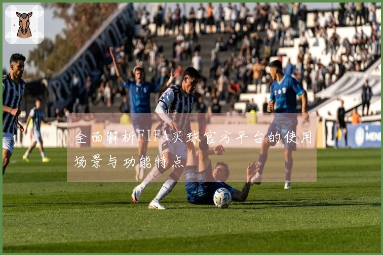全面解析FIFA买球官方平台的使用场景与功能特点