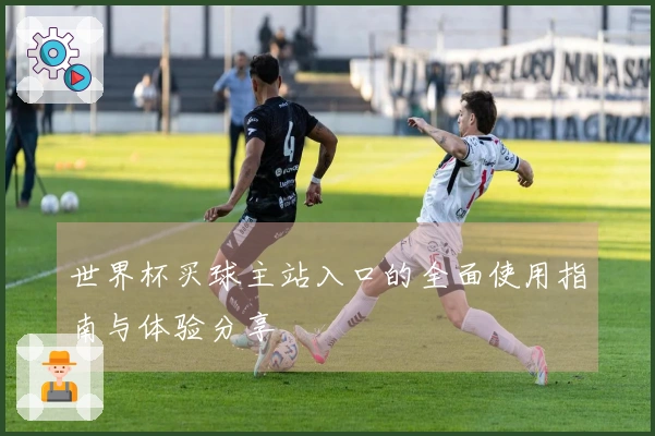 世界杯买球主站入口的全面使用指南与体验分享