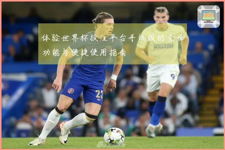 体验世界杯投注平台手机版的全面功能与便捷使用指南