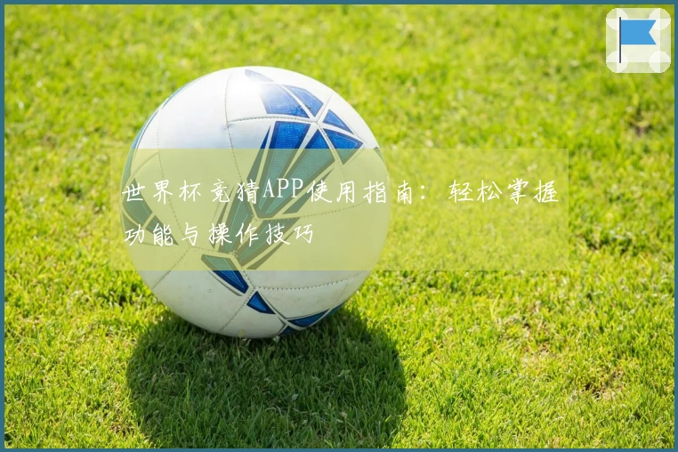 世界杯竞猜APP使用指南:轻松掌握功能与操作技巧