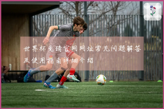 世界杯竞猜官网网址常见问题解答及使用指南详细介绍